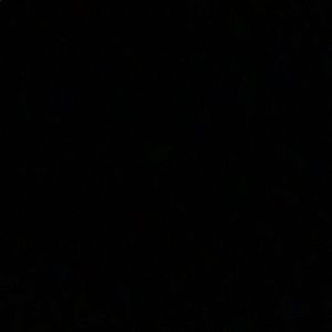 Meet your Posher, Dax